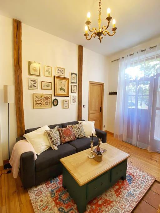 Cocon Cosy Dans La Ville Rose 툴루즈 외부 사진