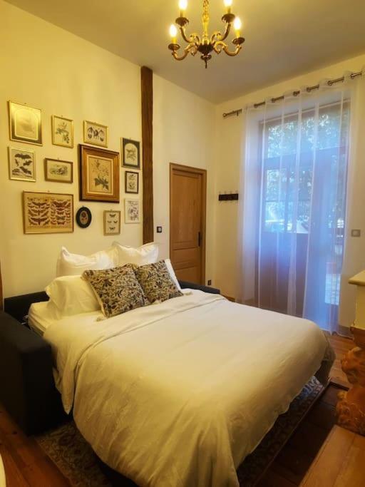 Cocon Cosy Dans La Ville Rose 툴루즈 외부 사진